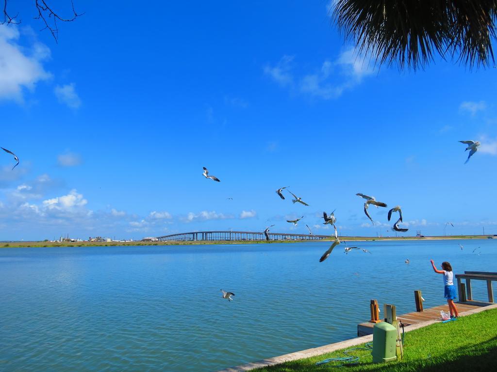 Multi Resorts At Puente Vista Corpus Christi Dış mekan fotoğraf